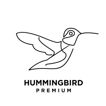 Elegant Flying Hummingbird Single Line Art Logo Design. Minimalist Bird Outline Vector Illustration.