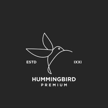 Elegant minimalist hummingbird line art logo design. Abstract flying bird symbol with "HUMMINGBIRD PREMIUM" text on a dark background.