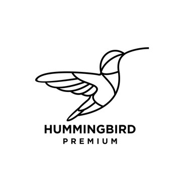 Minimalist Line Art Hummingbird Logo Vector Icon Design