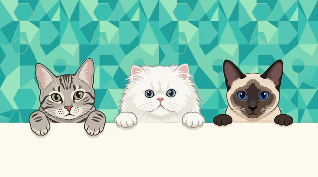 Cute cat breed collection with Siamese, Persian, and Tabby kittens peeking over a white banner. Adorable feline pets vector illustration set on a teal geometric pattern background.