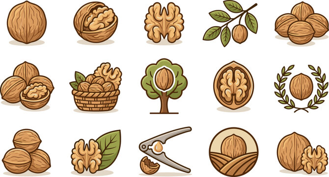 Flat Walnut Nut Vector Icon Set Featuring Whole Shells Open Kernels Woven Baskets Tree Icons Metal Nutcrackers and Agricultural Logo Elements