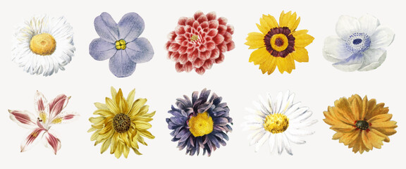 Naklejka na ściany i meble Vector of ten colorful, detailed flower illustrations on a light background.