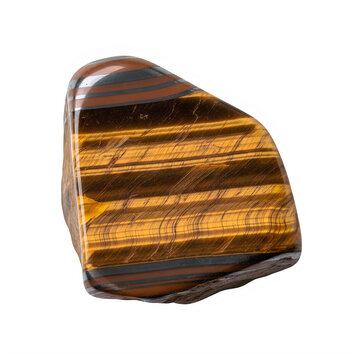 Polished tiger eye gemstone mineral specimen on transparent background with distinct golden brown
