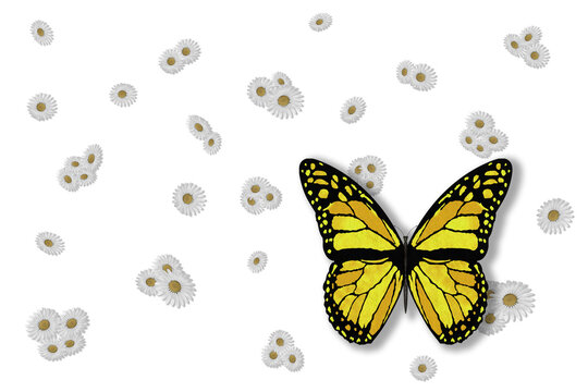 PNG. Illustrazione 3D. Primavera, estate. Fiori e farfalle su sfondo trasparente . Campo di erba con fiori colorati e farfalle, sullo sfondo trasparente.