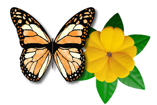 PNG. Illustrazione 3D. Primavera, estate. Fiore e farfalla su sfondo trasparente . Fiore e farfalla , sullo sfondo trasparente.