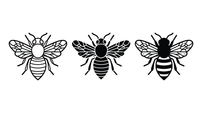 Bee vector icon set showing honeybee variations