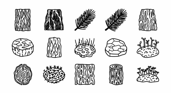 Set of hand drawn nature elements featuring forest tree bark and plants