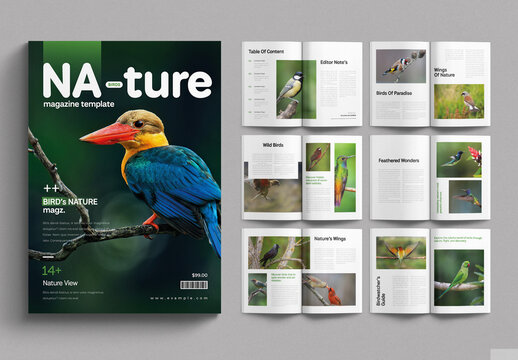 Birds Nature Magazine Design Template