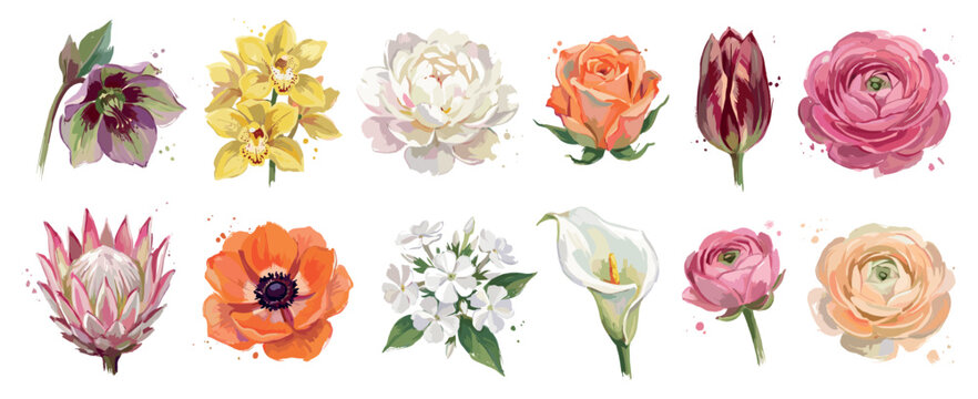 Flower icons set. Botanical garden and floral decoration concept. Includes hellebore, orchid, peony, rose, tulip, ranunculus, protea, anemone, jasmine, calla lily. Watercolor style