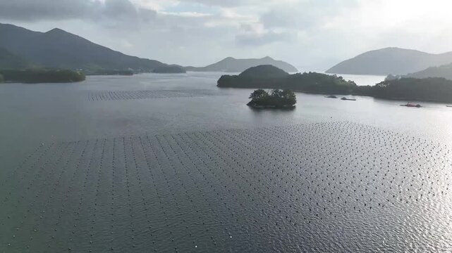 Drone view of oyster farming areas with rows of floating buoys surrounding small islands in coastal waters. Aquaculture shellfish farming sea water mountains and coastline.