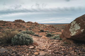 Natural rocky desert landscape featuring weathered boulders, dry shrubs, and a dramatic cloudy sky, creating a rugged wilderness scene ideal for travel, geology, and outdoor adventure themes. © AI illustration 