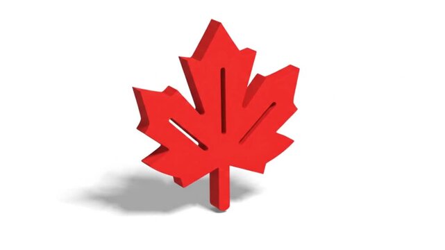 A high-quality 3D motion graphic featuring a stylized maple leaf icon in solid vibrant red. The animation showcases the leaf spinning smoothly on its vertical axis, casting a realistic dynamic drop sh