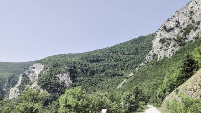 Montagna rocciosa con cime chiare e fitta vegetazione verde in primo piano, atmosfera naturale luminosa