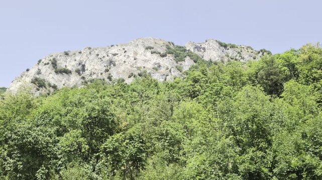 Montagna rocciosa con cime chiare e fitta vegetazione verde in primo piano, atmosfera naturale luminosa