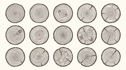 A collection of tree trunk cross-sections showing growth rings and cracks © PYARA