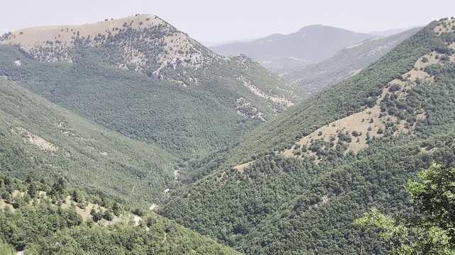 Catena montuosa con vallate verdi, pendii boscosi e cime rocciose in lontananza, atmosfera naturale e panoramica