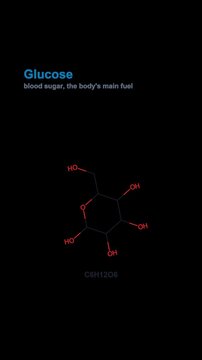 Glucose Molecule Molecular Structure Labeled Animated Overlay Alpha 4K Vertical 9x16 Light