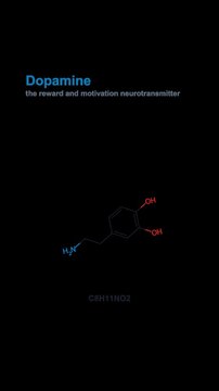 Dopamine Molecule Molecular Structure Labeled Animated Overlay Alpha 4K Vertical 9x16 Light