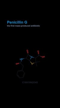 Penicillin G Molecule Molecular Structure Labeled Animated Overlay Alpha 4K Vertical 9x16 Light