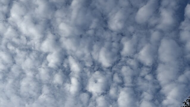Fluffy white clouds scattered across a bright blue peaceful sky