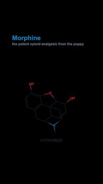 Morphine Molecule Molecular Structure Labeled Animated Overlay Alpha 4K Vertical 9x16 Light