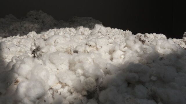 Raw Cotton Fiber Pile Ready for Textile Manufacturing