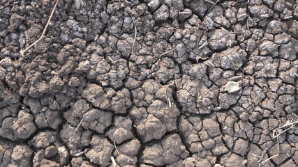 Fototapeta premium Dry Soil Texture with Natural Cracks Background