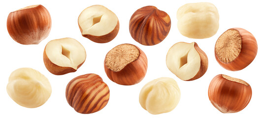Fototapeta na wymiar Hazelnut, isolated, full depth of field