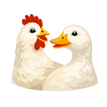 Cute Farm Friends Emblem Featuring Fluffy White Chicken Next To Sweet Domestic Duck Country Bird Characters Profile Flat Graphic Mascot Portrait Illustration
