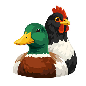 Cute Farm Friends Emblem Featuring Green Head Mallard Duck Next To Fluffy Black And White Chicken Sweet Country Bird Characters Flat Graphic Mascot Portrait Illustration
