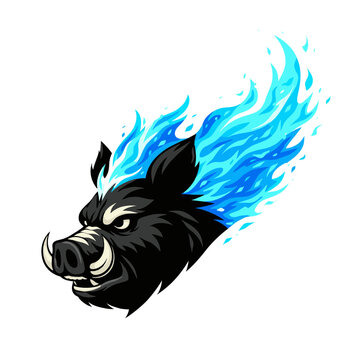 Fierce Angry Wild Boar Head Mascot Vector Illustration Featuring Aggressive Black Hog With Sharp White Tusks Enveloped In Dynamic Exploding Blue Fire Flames Sport Team Emblem Graphic Design
