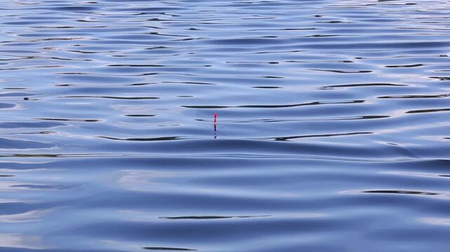 A red and orange fishing float bobs gently on rippling blue lake water, moving slightly up and down with small waves under bright natural daylight throughout the scene.