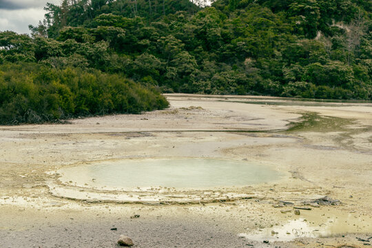 Geothermal Mud Pool Beside Lush Forest Hillside