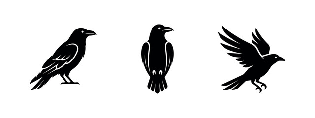 Obraz premium Set of raven and crow bird icons, intelligent and mystical symbols often associated with wisdom.