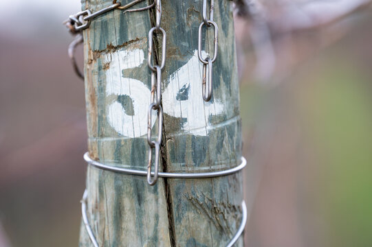A wooden post in a vineyard with the hand-painted number 54. It evokes an old-fashioned country atmosphere.