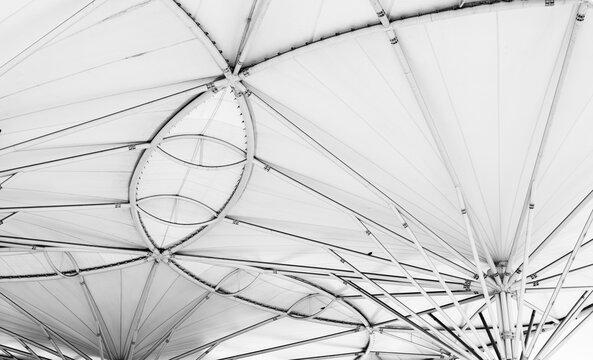 A tensile architectural roof structure captured from below, showing who studies modern engineering forms and why this moment reveals lines and patterns shaping contemporary public space design.