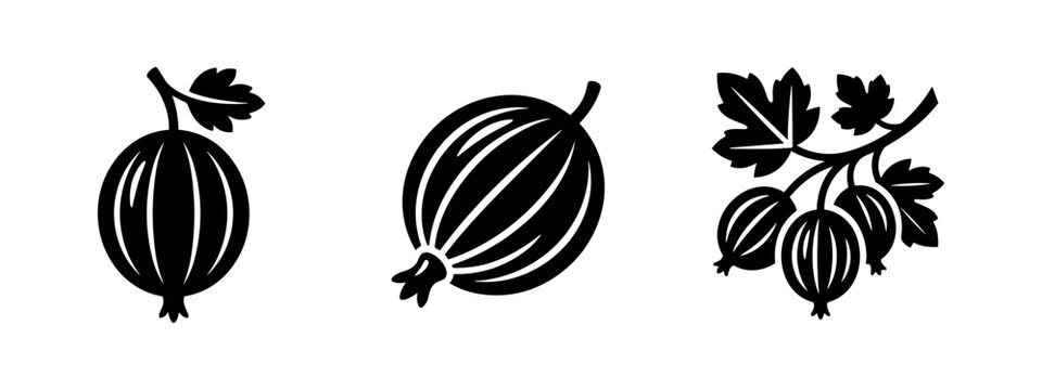 Gooseberry fruit icons set. Whole berries and a branch with leaves, symbolizing sour and sweet garden fruit.