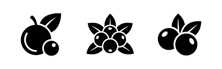 Set of olive or berry icons with leaves in various styles, natural food vector collection. © Lili