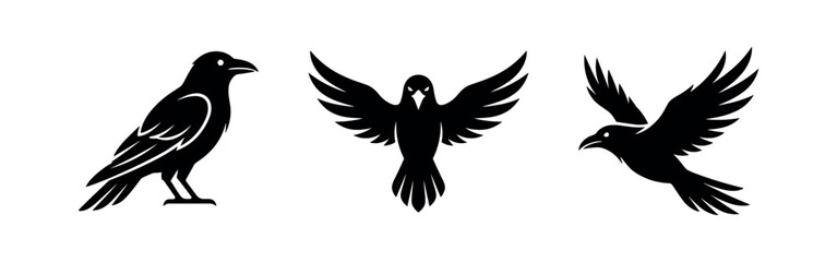 Obraz premium Majestic Raven and Crow Bird Silhouettes Set
