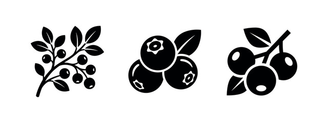 Set of blueberry fruit icons, fresh berries on a branch and individual, black and white vector illustration. © Lili