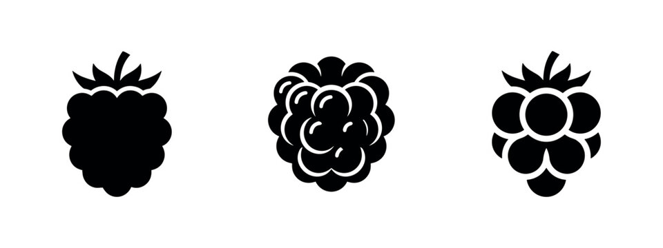 Set of raspberry fruit icons, delicious berries in various designs, black and white vector illustration.