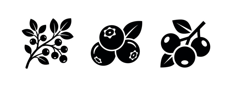 Set of blueberry fruit icons, fresh berries on a branch and individual, black and white vector illustration.