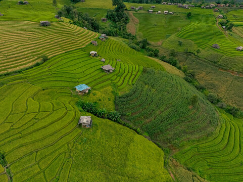 Scenic terraced fields and traditional homes surrounded by lush vegetation in remote Thai countryside under overcast sky, promoting sustainable travel, cultural heritage, and organic farming.