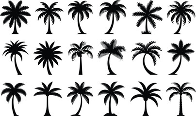Palm tree silhouette collection diverse tropical tree shapes for design and decorative applications © Hey world
