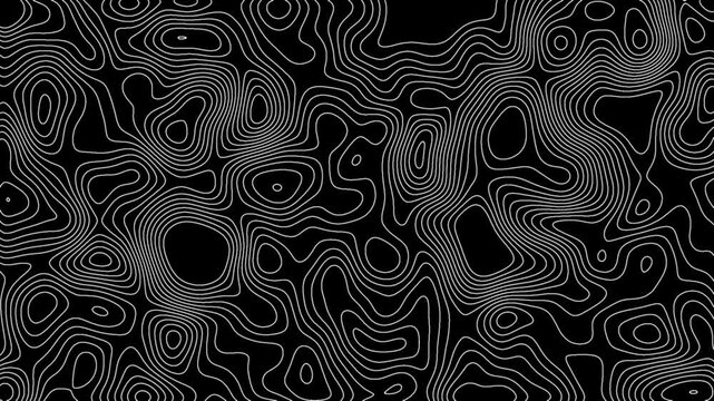 Abstract Black and White Topographic Map Line Pattern Background