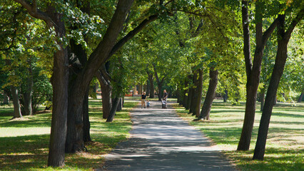 Fototapeta premium Family Walking with Stroller on Tree-Lined Path in Prague Park