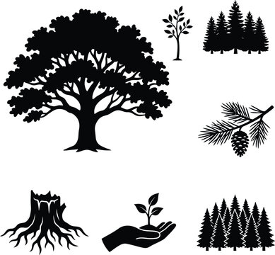 Black silhouette tree collection oak pine seedling roots and forest elements for design