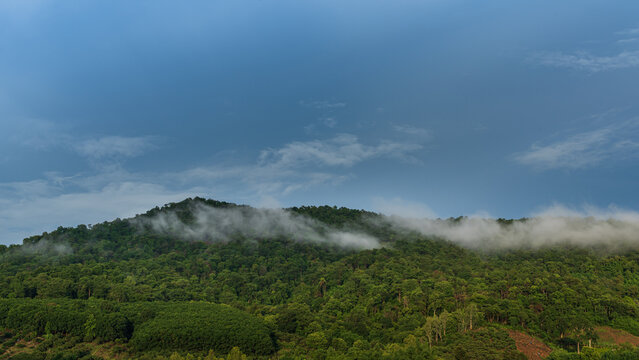 Dense green forested hill with drifting mist along its ridge under a moody blue overcast sky.