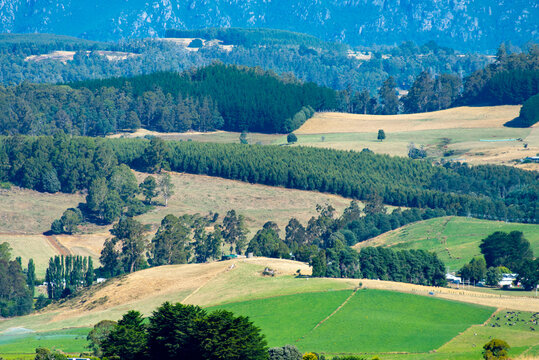 Agricultural Fields in North West Tasmania