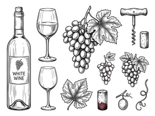 Obraz premium Ink sketch of wine bottle, glass, grape cluster, corkscrew, and cork isolated on white background, vintage botanical illustration for wine label